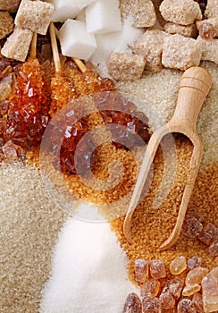 Various kinds of sugar