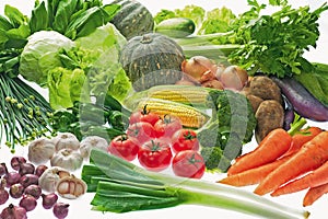 Various kinds of vagetable in fresh market