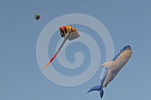 Various kites flying on the blue sky