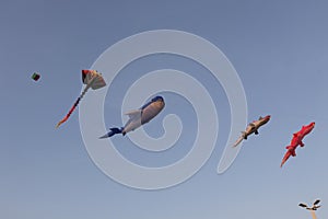 Various kites flying on the blue sky