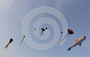 Various kites flying on the blue sky