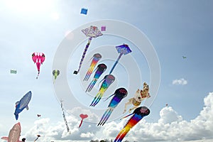 Various kites in the sky and sun rays