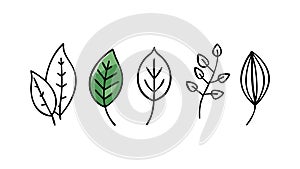Various Leaf Outlines Nature Botanical Design Element, vector design Generative AI