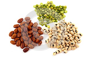 Various legumes photo