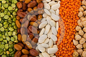 Various legumes photo