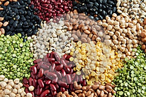 Various Legumes