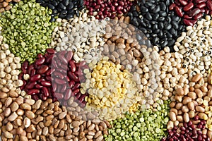 Various legumes seed