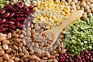 Various of legumes photo