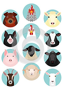 Various livestock face round icon set