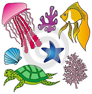 Various marine animals collection 2