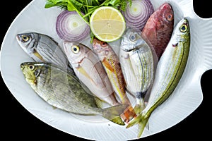 Various Mediterranean fishes bogue fish, red mullet, spotted spinefoot, parrotfish on white plate