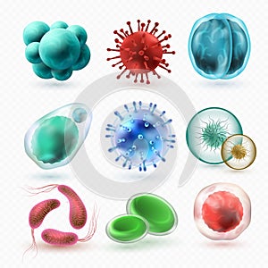 Various microscopic 3d bacteria and viruses. Microbiology vector bacterium cells isolated photo