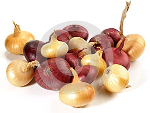 Various Mini Onions on white Background - Isolated