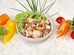 Various Mini Peppers and Octopus Salad on Ice with white Background