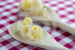 Various mix of pasta on wooden spoons on purple white checkered tablecloth, shapes ruotes and macaroni