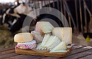 Various natural cheeses on wooden table in outdoor cowshed