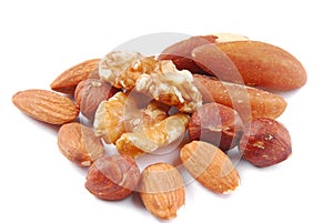 Various nuts isolated