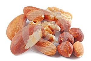 Various nuts isolated