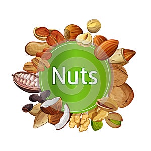 Various nuts round isolated composition