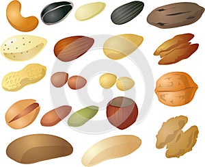 Various nuts and seeds