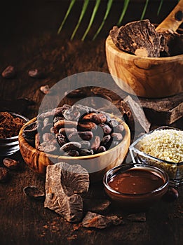 Various organic cocoa products. Cocoa beans, cocoa powder, cocoa butter, dark chocolate, liquid chocolate, grated cocoa on wooden