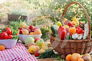 Various organic fruits and vegetables