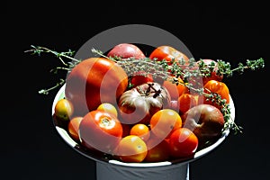 various organic tomatoes breeds on a plate in sunlight photo