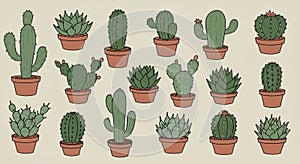 Various packaging materials are arranged on a brown cardboard backdrop. Includes