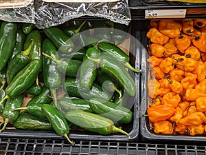 Various Peppers Available for Purchase