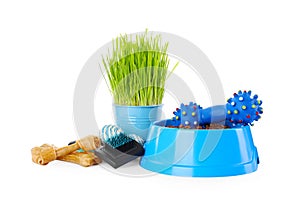 Various pet toys, bowl of food and wheatgrass on white background