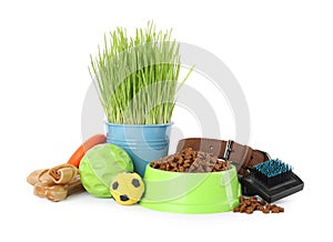 Various pet toys, bowl of food and wheatgrass on white background