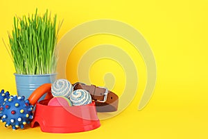 Various pet toys, bowl and wheatgrass on yellow background, space for text