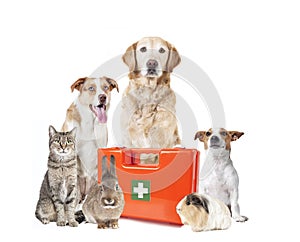 Various pets medical case