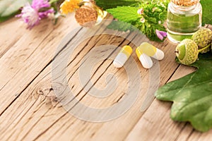 Various plants, leaves of healing herbs, capsules and healthy oils on wooden background with copy space Alternative