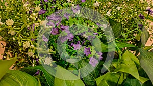 Various plastic flowers are used as decoration in a room