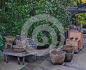 Various products for sale in rattan basket in Bambouseraie de Prafrance Cevennes, Generargues Languedoc, France