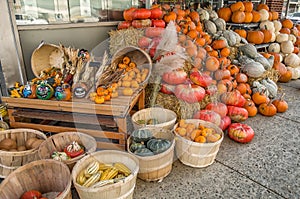 Various Pumkins