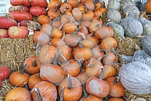 Various Pumkins