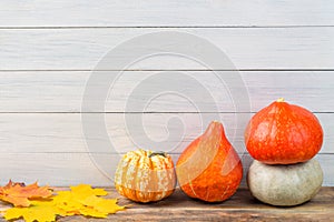 Various pumpkins with colorful maple leaves against light wooden wall background. Autumn and halloween concept. Free space.