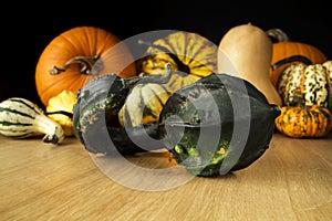 Various pumpkins and gourds composition. Different types of autumn squash.