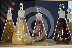 Various raw cereals, grains, beans and pasta for cooking healthy food in glass jars on a wooden shelf.