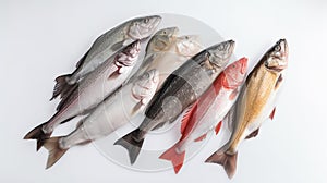 Various raw fish in a row, white background. Seafood assortment, menu. AI generated.