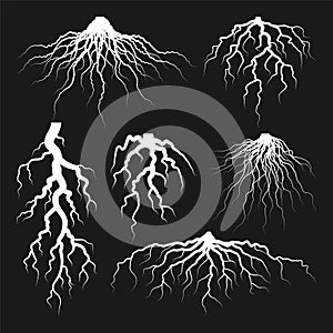 Various realistic tree or shrub roots. Parts of plant, root system with tree stump. Dendrology, study of woody plants