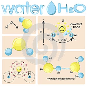 Various representations of water molecule H2O.