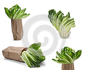 Various Romaine lettuce leaves in paper bag and glass bowl isolated on white background