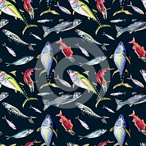 Various sea fishes seamless pattern watercolor illustration isolated on black. Wild fish, tuna, salmon, herring, anchovy