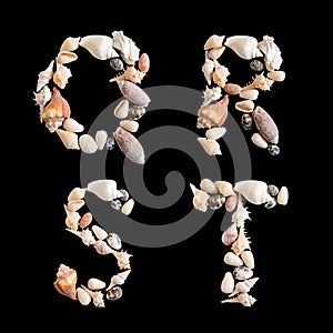 Various sea shells capital Q R S T on isolated black background