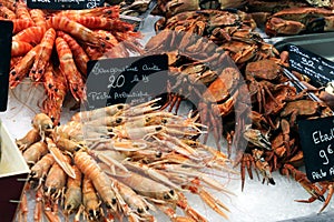 Various seafood at fish market in Le Treport, France. Crabs and langoustes.