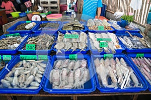 Various of seafood on shop at seafood market with thai language