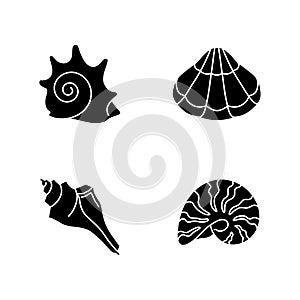 Various seashells black glyph icons set on white space